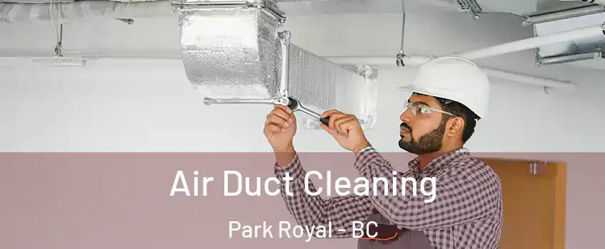  Air Duct Cleaning Park Royal - BC