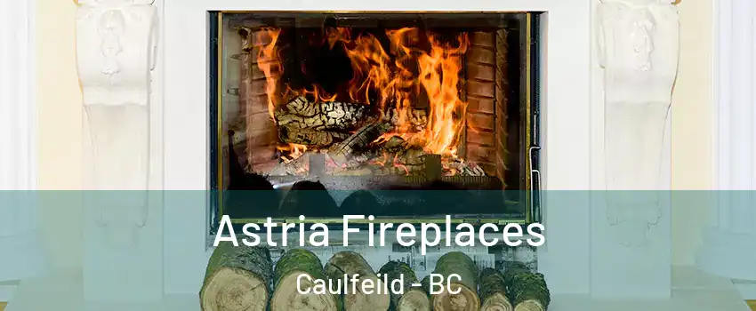  Astria Fireplaces Caulfeild - BC