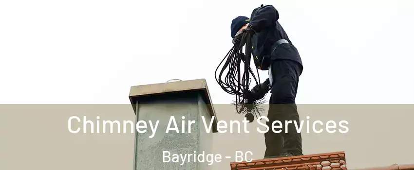  Chimney Air Vent Services Bayridge - BC