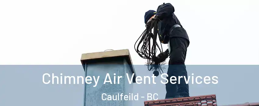  Chimney Air Vent Services Caulfeild - BC