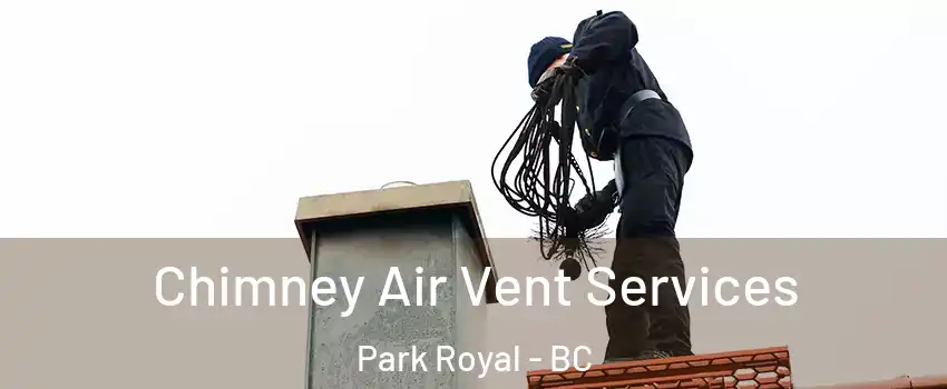  Chimney Air Vent Services Park Royal - BC