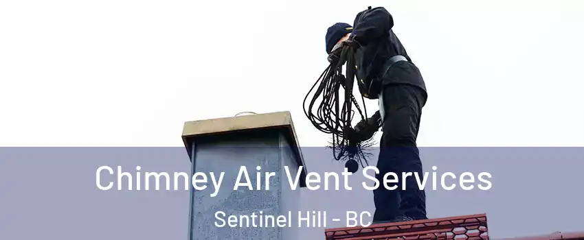  Chimney Air Vent Services Sentinel Hill - BC