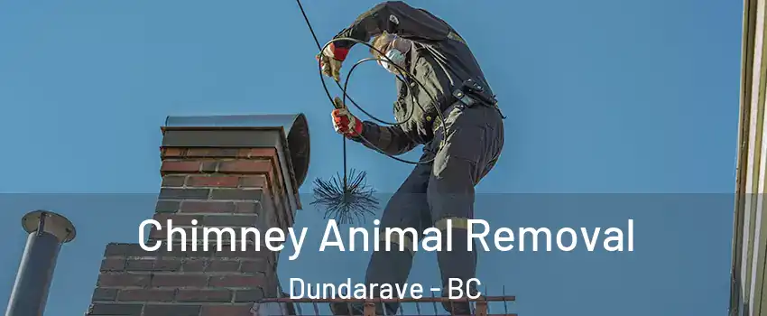 Chimney Animal Removal Dundarave - BC