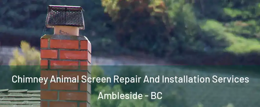  Chimney Animal Screen Repair And Installation Services Ambleside - BC