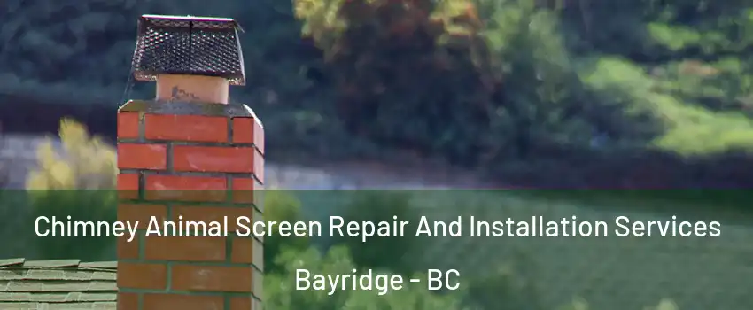  Chimney Animal Screen Repair And Installation Services Bayridge - BC