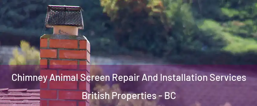  Chimney Animal Screen Repair And Installation Services British Properties - BC