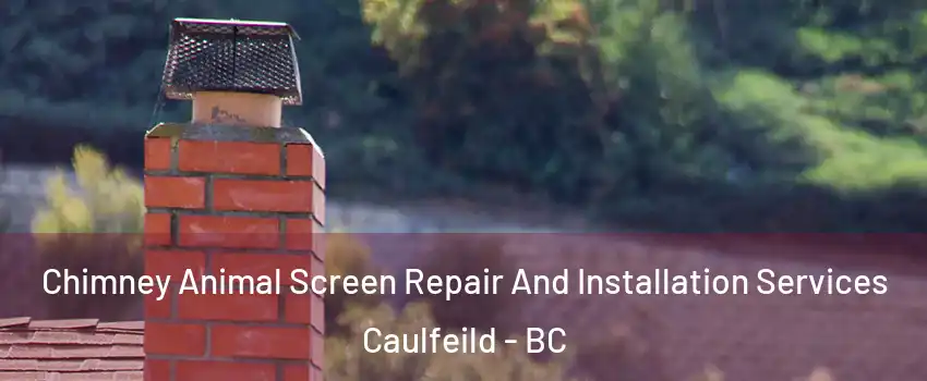  Chimney Animal Screen Repair And Installation Services Caulfeild - BC