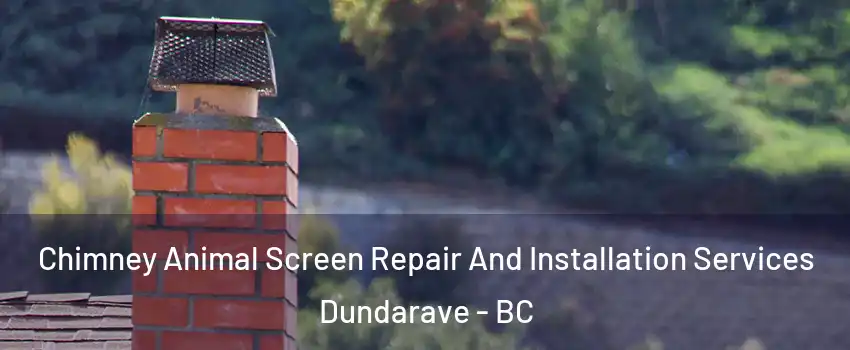  Chimney Animal Screen Repair And Installation Services Dundarave - BC