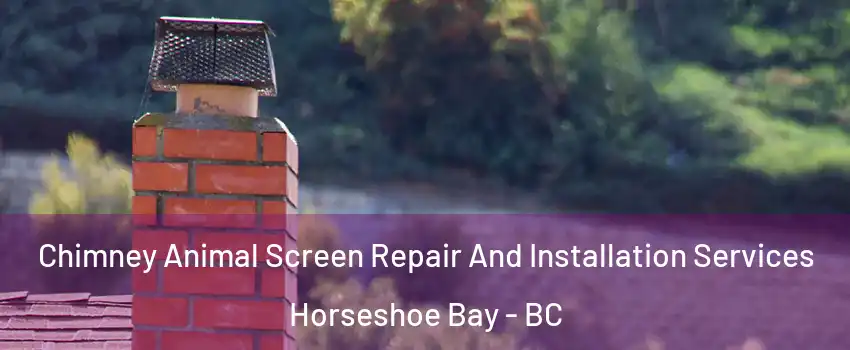  Chimney Animal Screen Repair And Installation Services Horseshoe Bay - BC