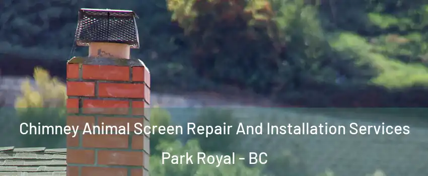  Chimney Animal Screen Repair And Installation Services Park Royal - BC