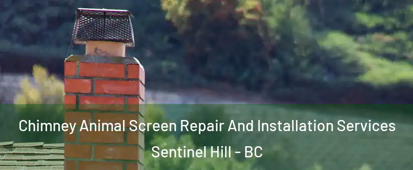  Chimney Animal Screen Repair And Installation Services Sentinel Hill - BC