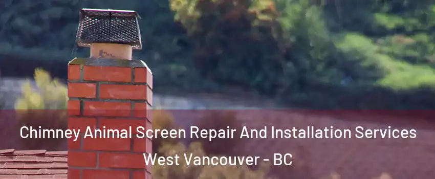  Chimney Animal Screen Repair And Installation Services West Vancouver - BC