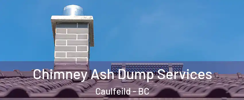  Chimney Ash Dump Services Caulfeild - BC
