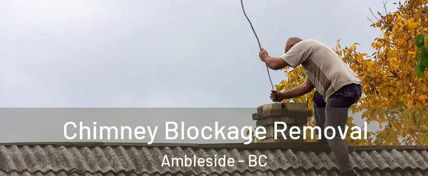  Chimney Blockage Removal Ambleside - BC