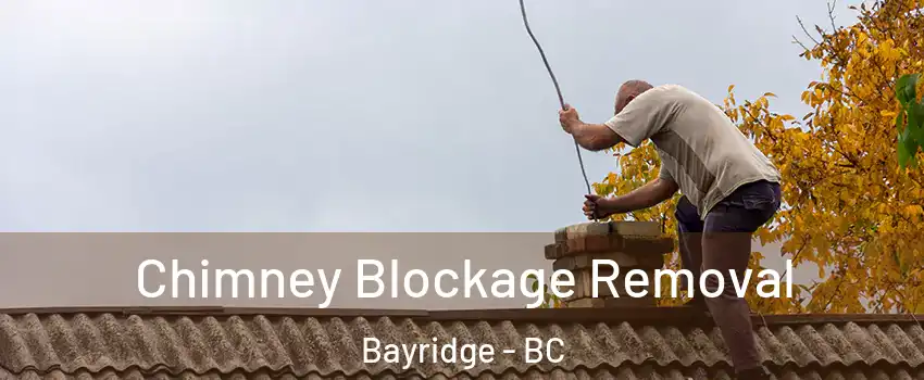  Chimney Blockage Removal Bayridge - BC