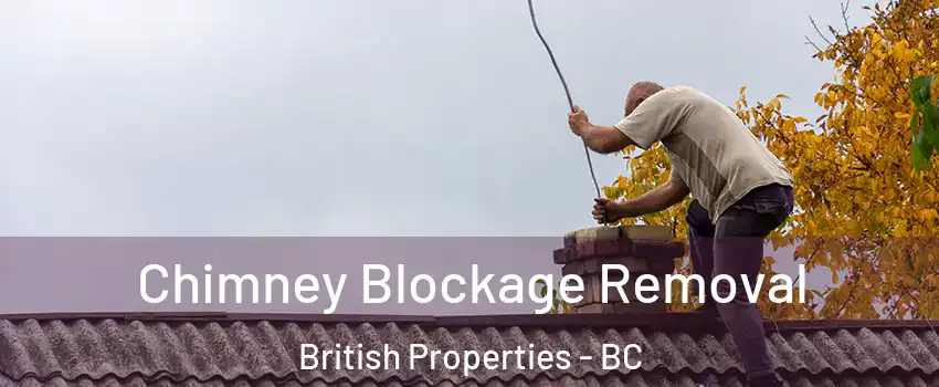 Chimney Blockage Removal British Properties - BC