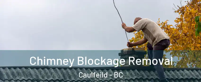  Chimney Blockage Removal Caulfeild - BC