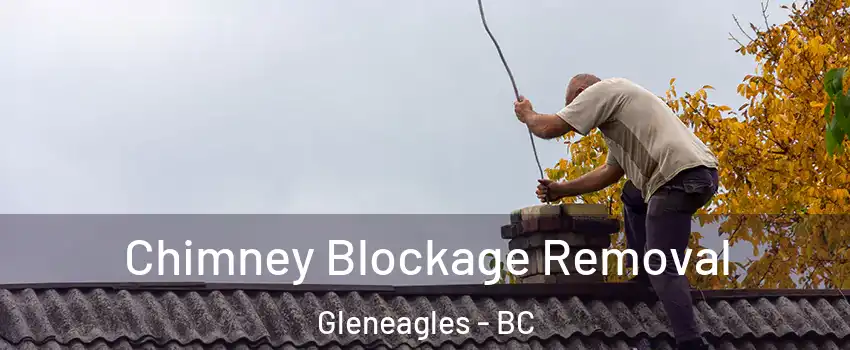  Chimney Blockage Removal Gleneagles - BC