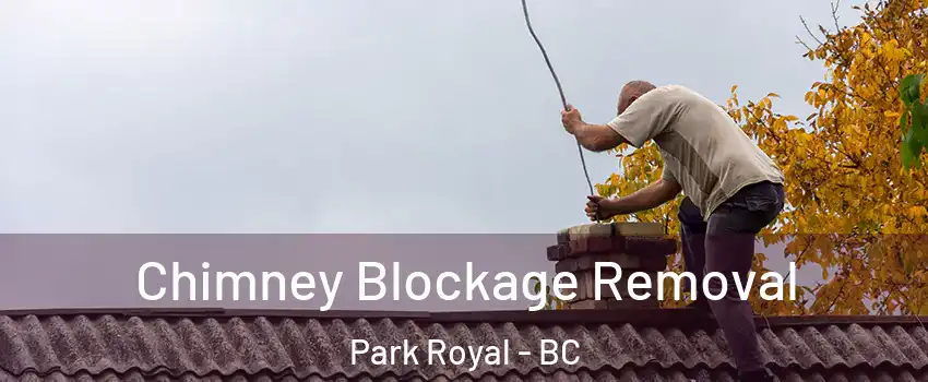  Chimney Blockage Removal Park Royal - BC