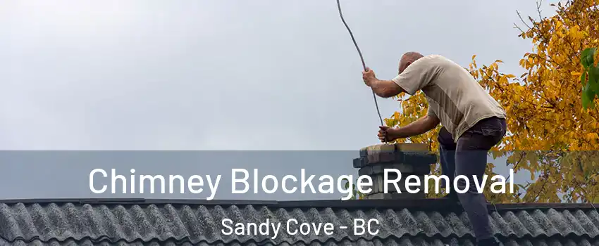  Chimney Blockage Removal Sandy Cove - BC