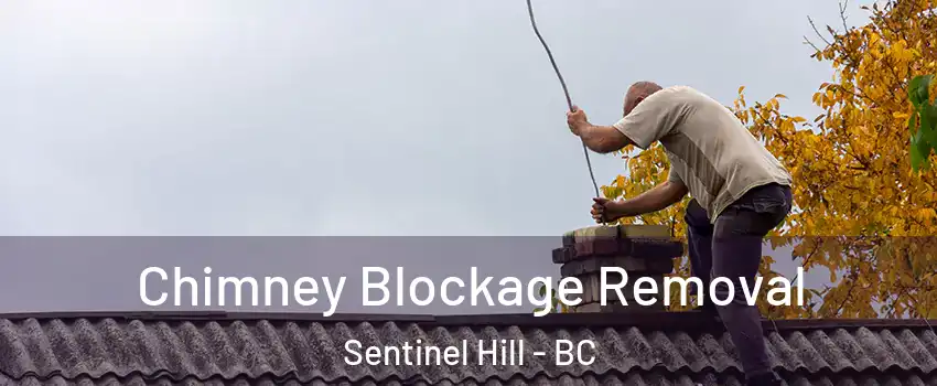  Chimney Blockage Removal Sentinel Hill - BC
