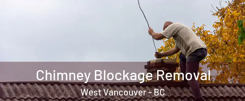  Chimney Blockage Removal West Vancouver - BC