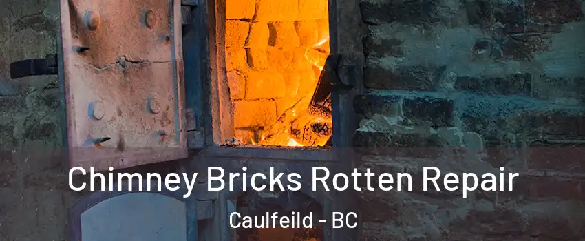  Chimney Bricks Rotten Repair Caulfeild - BC