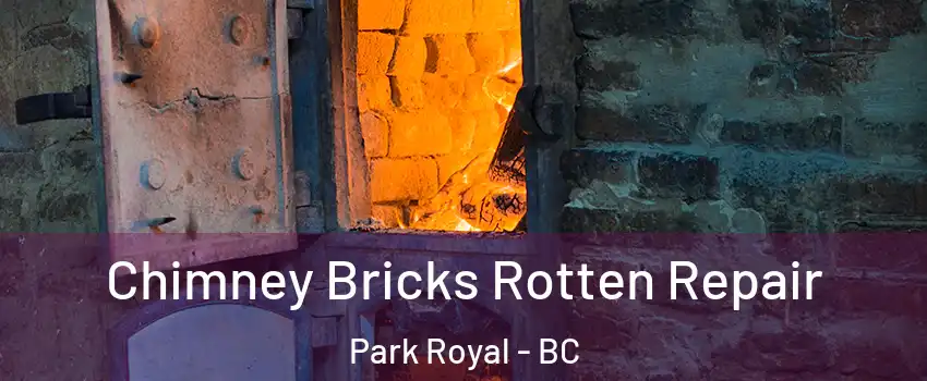  Chimney Bricks Rotten Repair Park Royal - BC