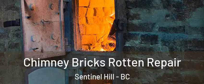  Chimney Bricks Rotten Repair Sentinel Hill - BC