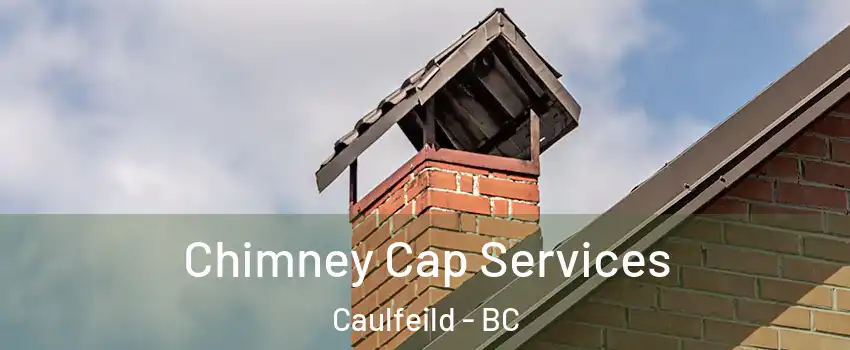  Chimney Cap Services Caulfeild - BC