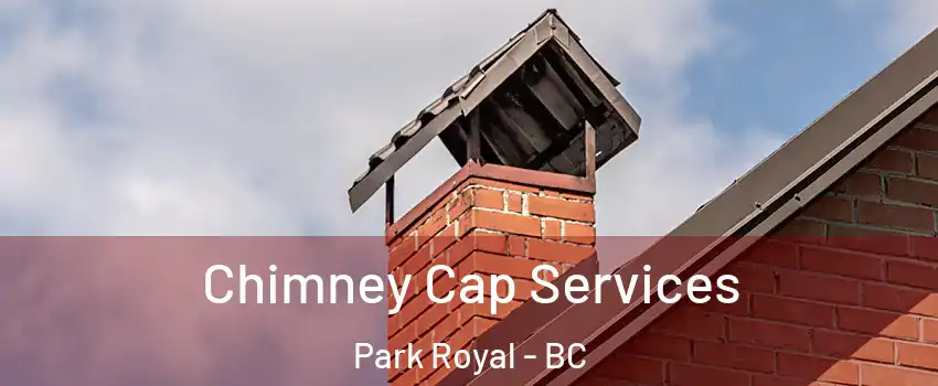  Chimney Cap Services Park Royal - BC