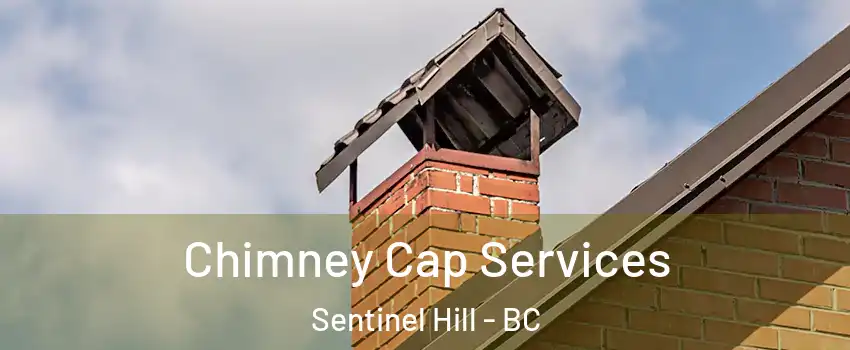  Chimney Cap Services Sentinel Hill - BC