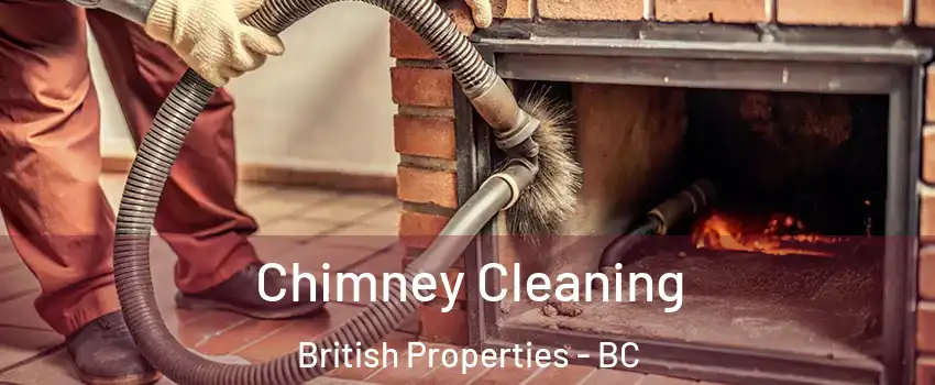  Chimney Cleaning British Properties - BC
