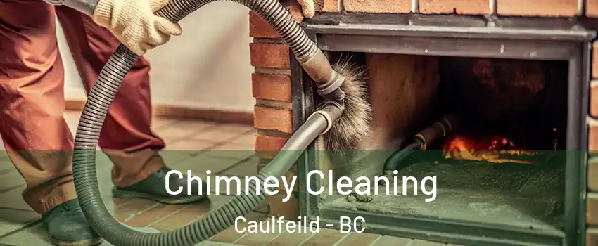  Chimney Cleaning Caulfeild - BC