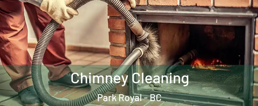  Chimney Cleaning Park Royal - BC