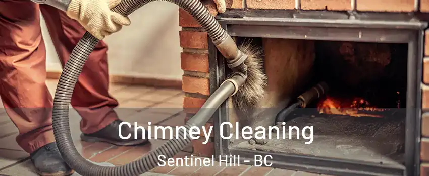  Chimney Cleaning Sentinel Hill - BC