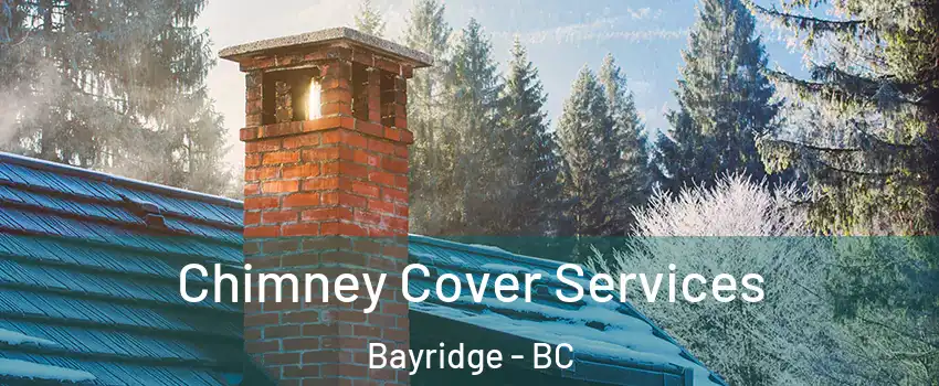  Chimney Cover Services Bayridge - BC