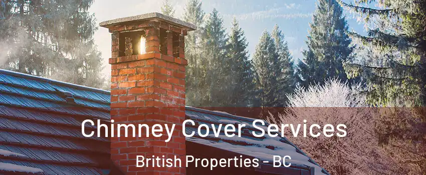  Chimney Cover Services British Properties - BC
