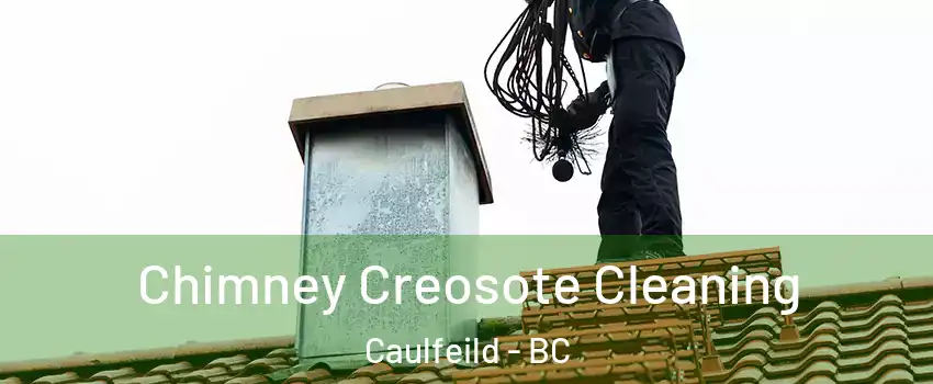  Chimney Creosote Cleaning Caulfeild - BC