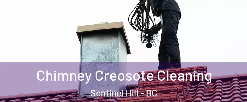  Chimney Creosote Cleaning Sentinel Hill - BC