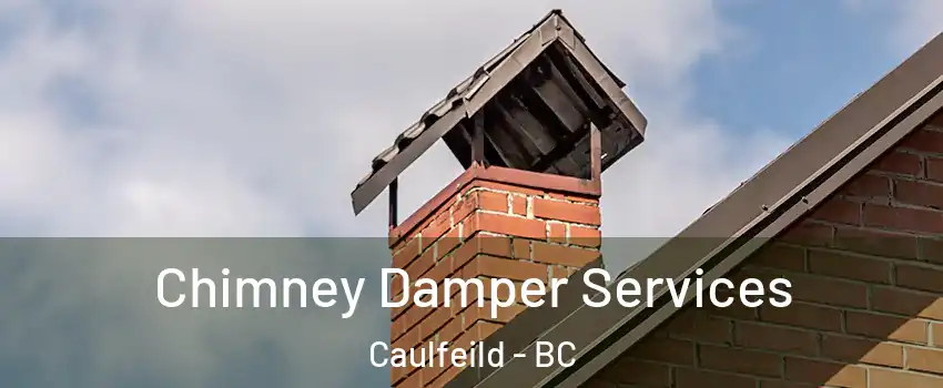  Chimney Damper Services Caulfeild - BC