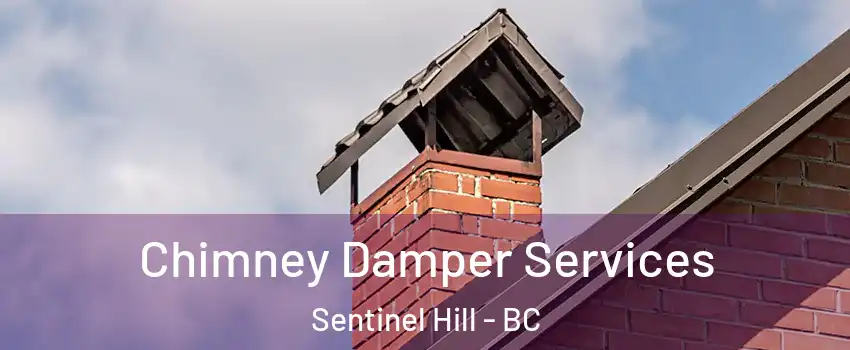  Chimney Damper Services Sentinel Hill - BC