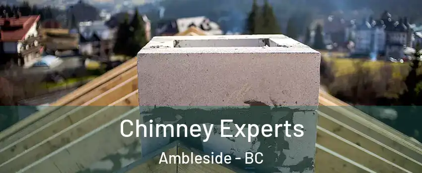 Chimney Experts Ambleside - BC