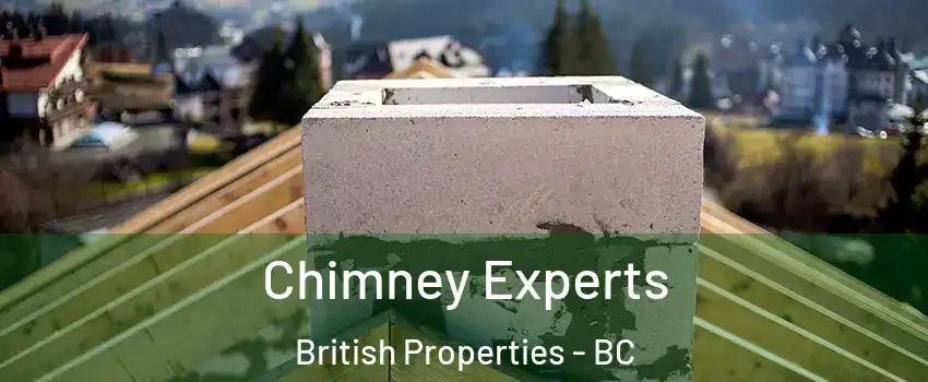 Chimney Experts British Properties - BC