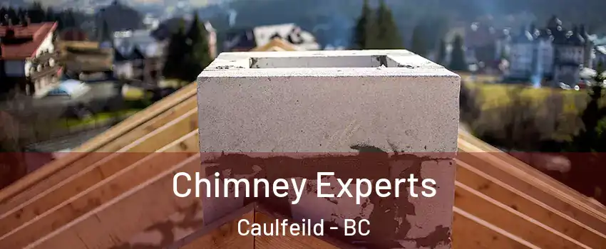 Chimney Experts Caulfeild - BC