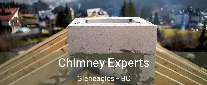 Chimney Experts Gleneagles - BC