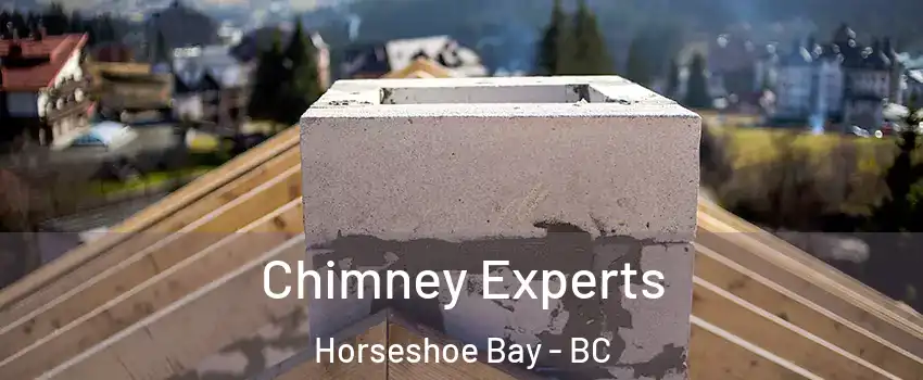 Chimney Experts Horseshoe Bay - BC