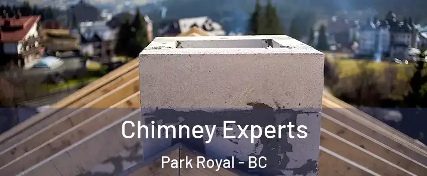 Chimney Experts Park Royal - BC