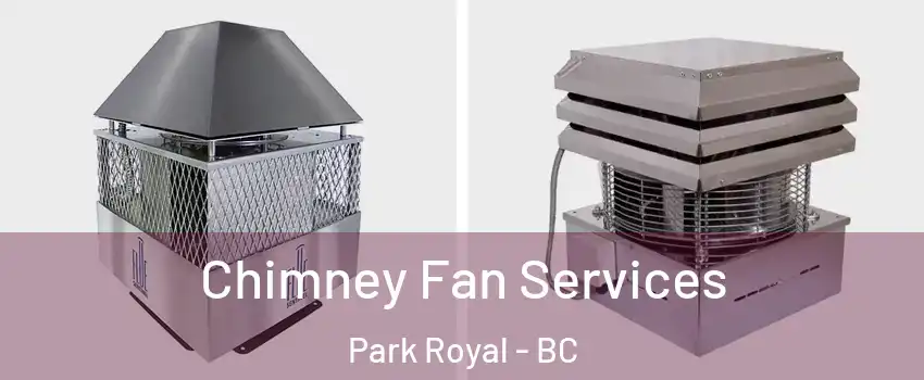  Chimney Fan Services Park Royal - BC