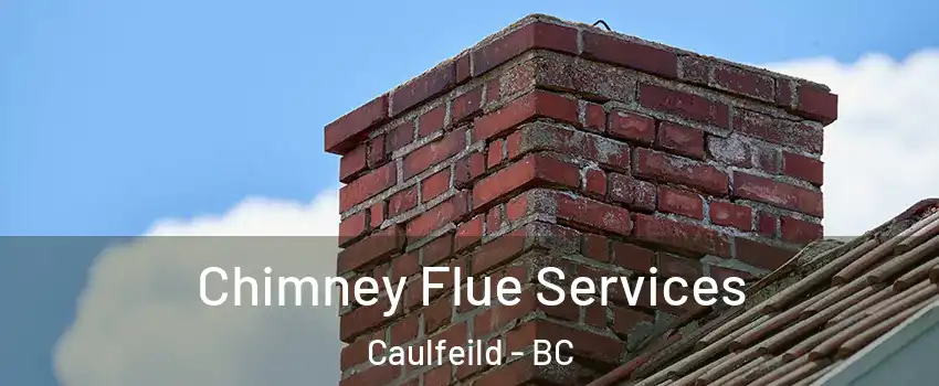 Chimney Flue Services Caulfeild - BC